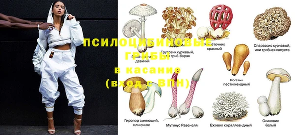 ПСИЛОЦИБИНОВЫЕ ГРИБЫ Балабаново