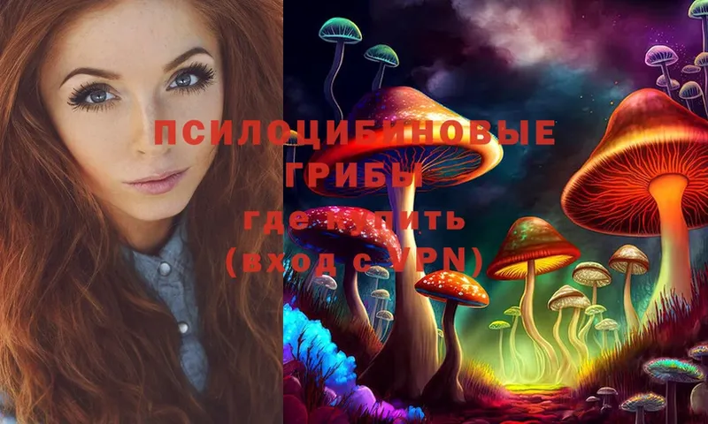 закладка  Нерчинск  гидра рабочий сайт  Галлюциногенные грибы MAGIC MUSHROOMS 